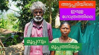 tribal community irulas/ attapadi/ AHADs project/