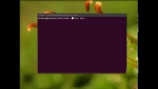How to install Vietnamese IBUS-Unikey  on Ubuntu 11.10