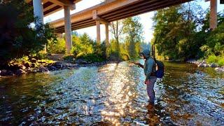 MILLIONS of Fisherman Drive Over This GEM of a River DAILY & Have ZERO CLUE What They Are Missing