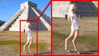 Strange Creatures Caught On Google Earth