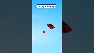 ye kya hoo hoo gya #kite #kiteflying #youtube #shorts