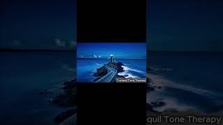  **Oceanic Serenade: 417Hz Healing with Seabirds | Tranquil Tone Therapy**  -2