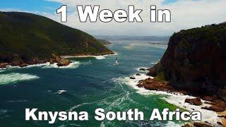 1 Week in December (South Africa)