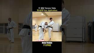 Practical use of karate kata!