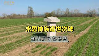 诸城乡土文化：永思林族谱世次碑 #家谱族谱