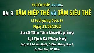 Vi diệu Pháp căn bản 6  - Bài 3: Tâm hiệp thế và Tâm siêu thế - Ngày 21/08/2022