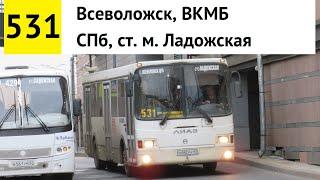 Автобус 531 "СПб, ст. м. "Ладожская" - Всеволожск, ВКМБ"