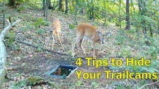 4 How-to Tips For Hiding Your Trailcams From Deer and Thieves