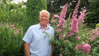 Castle Hill Garden,  Soft wood cuttings, Fruit Tree Maintenance.