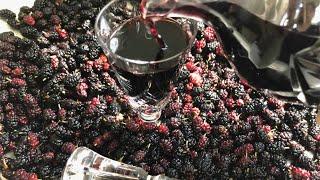 Homemade Mulberry Liqueur