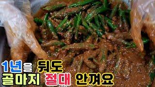 밥도둑 된장고추장아찌 짜지 않고, 오래두고 먹을수 있는 황금레시피( Golden recipe that Pickled soybean paste & chili paste)