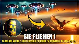 UFO Drohnen Schwarm: Ist das die schockierende Wahrheit? | Vögel fliehen tausendfach aus New Jersey