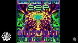 ESP - Intricate Web