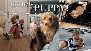 VLOG: I GOT A PUPPY! + the first 24 hours & storytime!