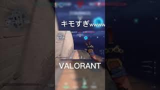 ゲッコーの立ち回りのお手本 3kill