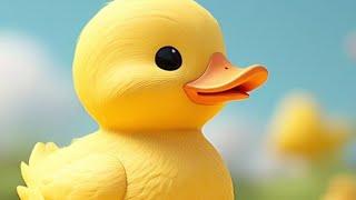 5 little ducks  / kindergarten#supersimplesongs #chunchunntv #chuchutv #infobells #pinkfong