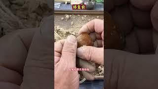 翡翠手鐲 | 斷了20年的翡翠手鐲，今天通過無痕修復完美如初！一切看看修復的過程吧！ #翡翠手鐲 #緬甸翡翠 #珠寶 #缅甸翡翠 #翡翠