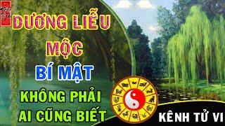 Ngũ hành DƯƠNG LIỄU MỘC và những bí ẩn mà không phải ai cũng biết
