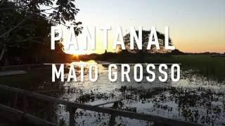 MATO GROSSO - BRASILIEN : Das Pantanal