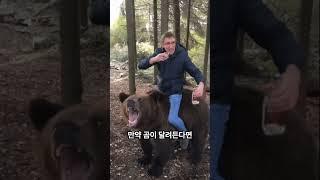 산에서 곰을 만났을 때 어떻게 해야할까?