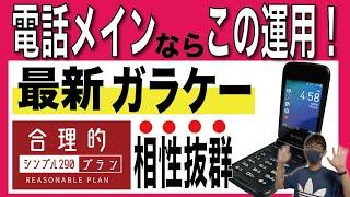 【最新ガラケー】通話専用機として「楽天モバイル」や「格安SIM」は使えるのか？【日本通信SIM/Orbic JOURNEY Pro 4G】