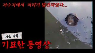 [소름] 저수지 물 속에 머리가.... 네티즌들의 기묘한 상황이 담긴 영상