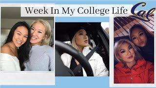 Week In My College Life at UC Berkeley