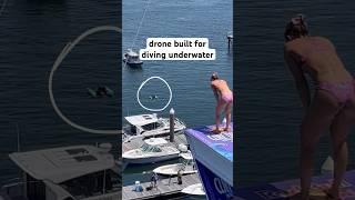 This Drone Is A Professional Cliff Diver 