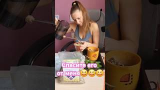 Спасаю замик после предыдущих спасений #комнатныецветы #замиокулькас #цветовод