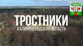 4K. Тростники. Гурьевский район. Калининградская область