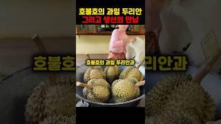 호불보의 과일 두리안과 생선의 만남