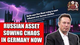 Musk Writes in Support of AfD in Germany