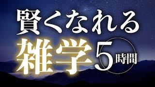 【睡眠導入】賢くなれる雑学5時間【合成音声】