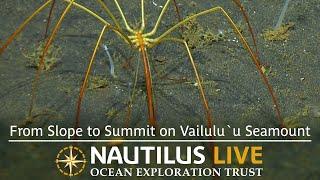 Exploring the Slope of Vailulu'u Seamount | Nautilus Live