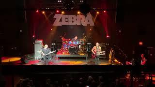 Zebra "Lullaby" (11/8/24 Charlotte, NC) 4K