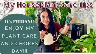 My Friday plant care!/House Plant Care Tips/Plant Updates