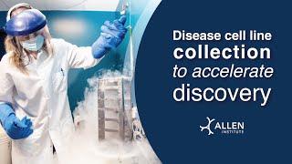 Allen Institute for Cell Science releases first disease cell line collection to accelerate discovery