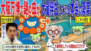 大阪万博で大量発生しているユスリカ、大量発生している本当の理由とは【ずんだもん＆ゆっくり解説】