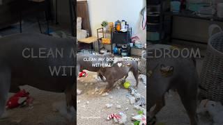 ASMR Cleaning My Dogs Bedroom #clean #cleaning #asmr #satisfying #shorts #viral  #dog #cleanwithme