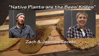 “Native Plants are the Bees’ Knees” by Zach & Jasmine Cecelic