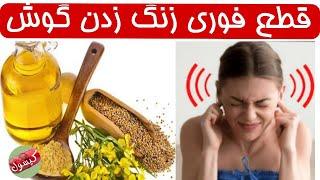 از شر وزوز گوش در منزل به راحتی خلاص شوید _درمان سه سوته وزوز گوش