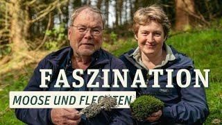 Moose und Flechten - erstaunliche Lebewesen