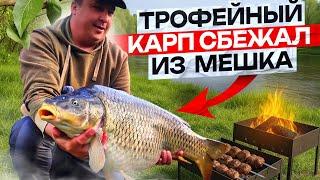 Трофейный карп 15+ убежал из мешка.  Весенний карпфишинг на дикаре в дружной компании.