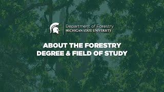 About the Forestry Degree and Field of Study