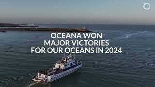 2024: A Year in Review | Oceana