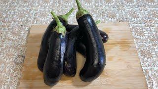 Afghani eggplant |banjan borani |طرز تهیه بادمجان بورانی خوش مزه و آسان