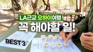 오하이 여행 BEST 3 | 1박2일 LA 근교여행 당일치기 여행으로 최고! 브이로그 Ojai