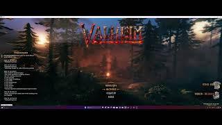 Valheim как играть по сети и интернету Онлайн ГАЙД!