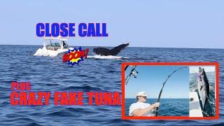 TUNA CLOSE CALL & CRAZY  FAKE TUNA !!!!