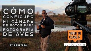 Taller de Fotografía para el Observador de Aves - Curso Gratis